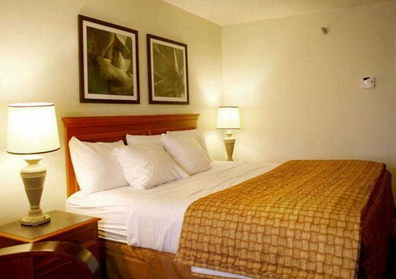 La Quinta By Wyndham Baton Rouge Siegen Lane Hotel Prairieville Kültér fotó
